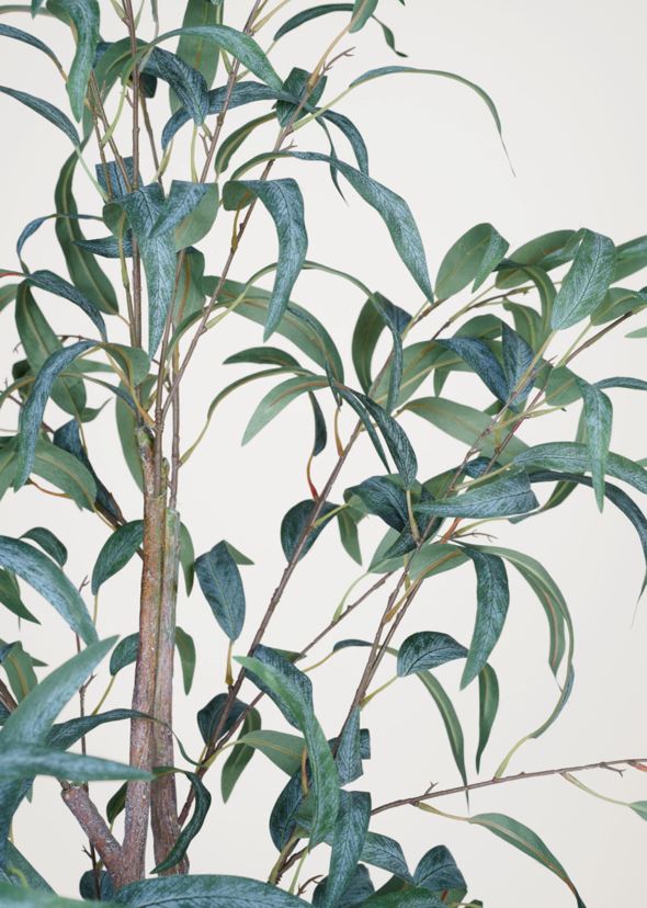 Viherkasvi vihreä - 2