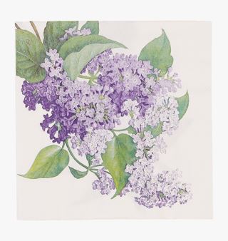 Moments Lilac ruokaservetit moniväri/violetti