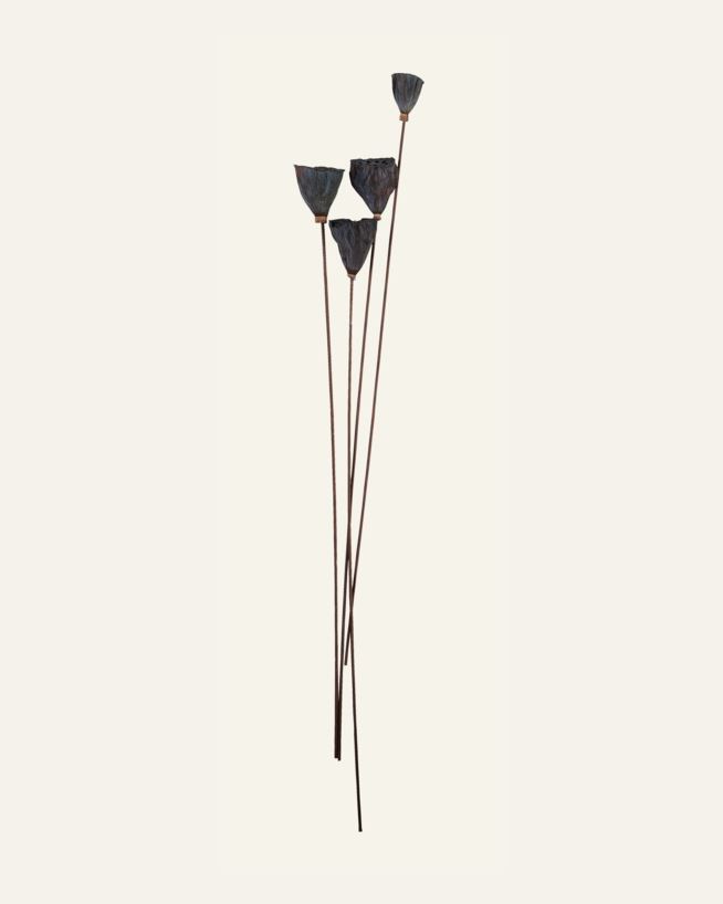 Kuivakukat ruskea - 60 cm ruskea - 1