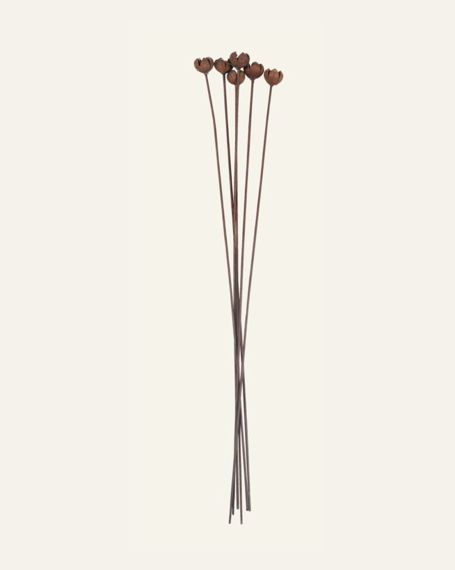 Kuivakukat ruskea - 60 cm ruskea - 1