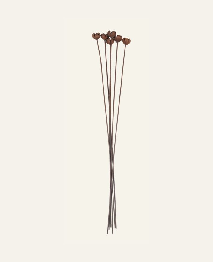 Kuivakukat ruskea - 60 cm ruskea - 1