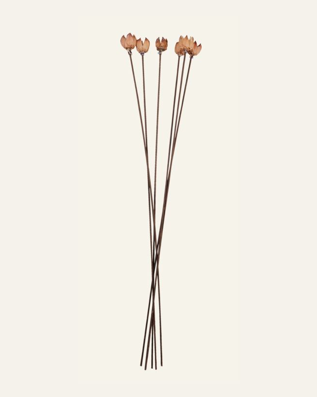 Kuivakukat luonnonväri - 60 cm luonnonväri - 1