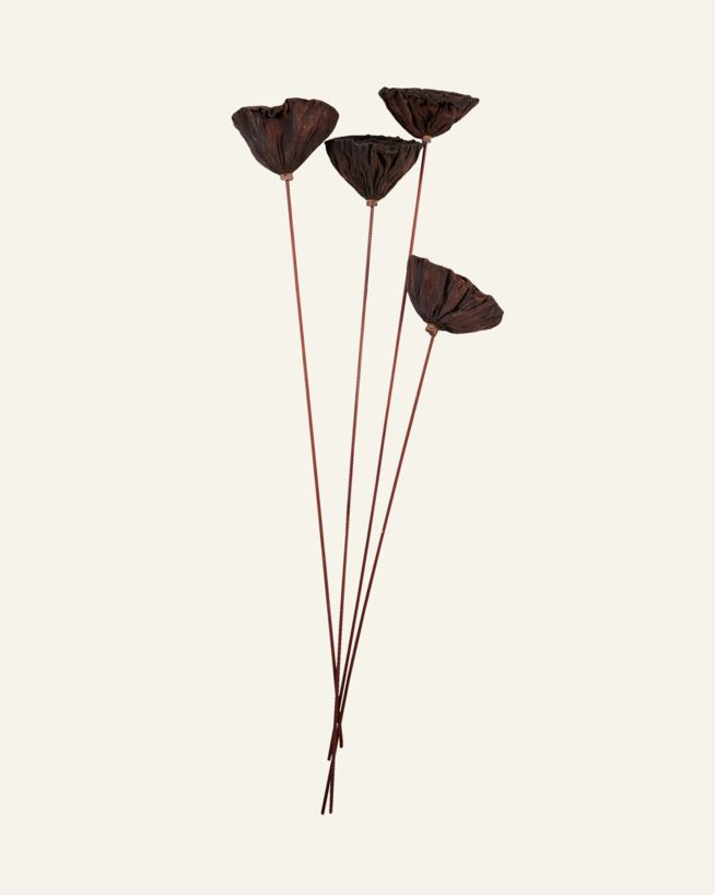 Kuivakukat ruskea - 60 cm ruskea - 1
