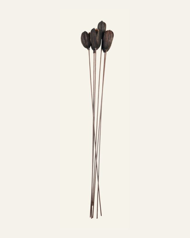 Kuivakukat ruskea - 60 cm ruskea - 1