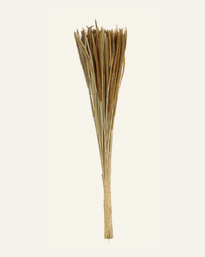 Kuivakukat luonnonväri - 60 cm luonnonväri - 1