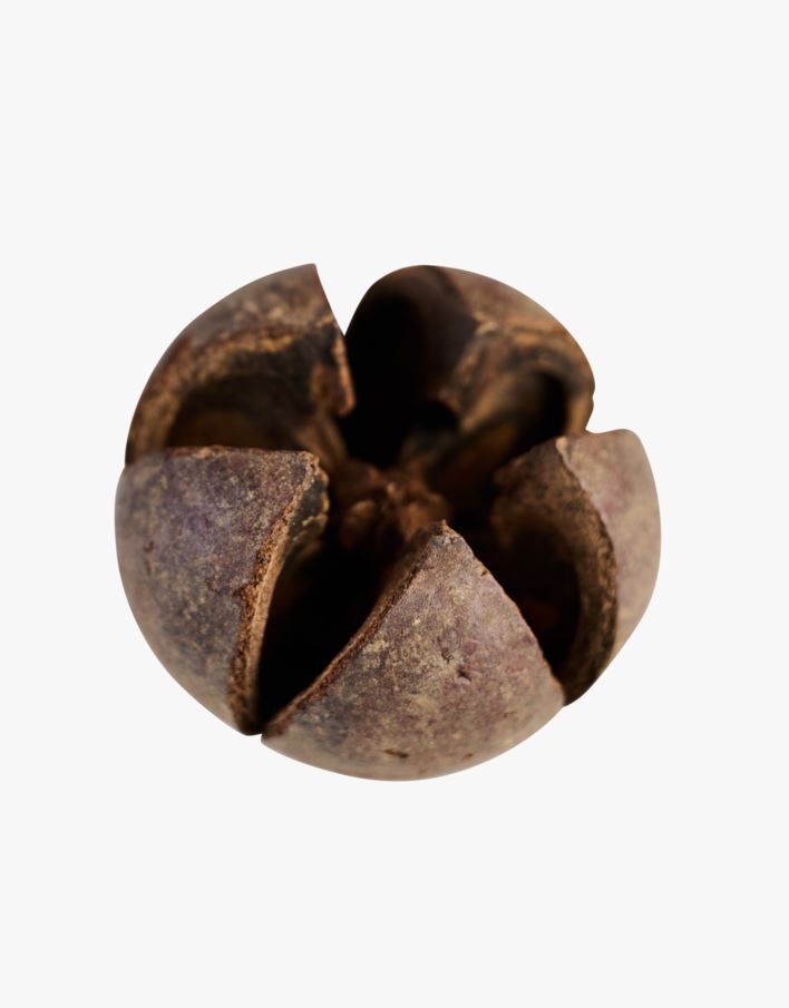 Koriste ruskea - 12x7x20 cm ruskea - 1