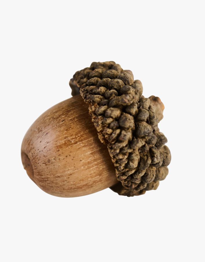 Koriste ruskea - 12x7x20 cm ruskea - 1