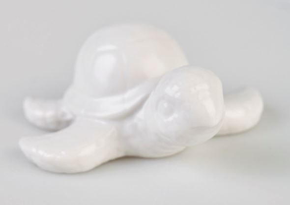 Koriste valkoinen - 2