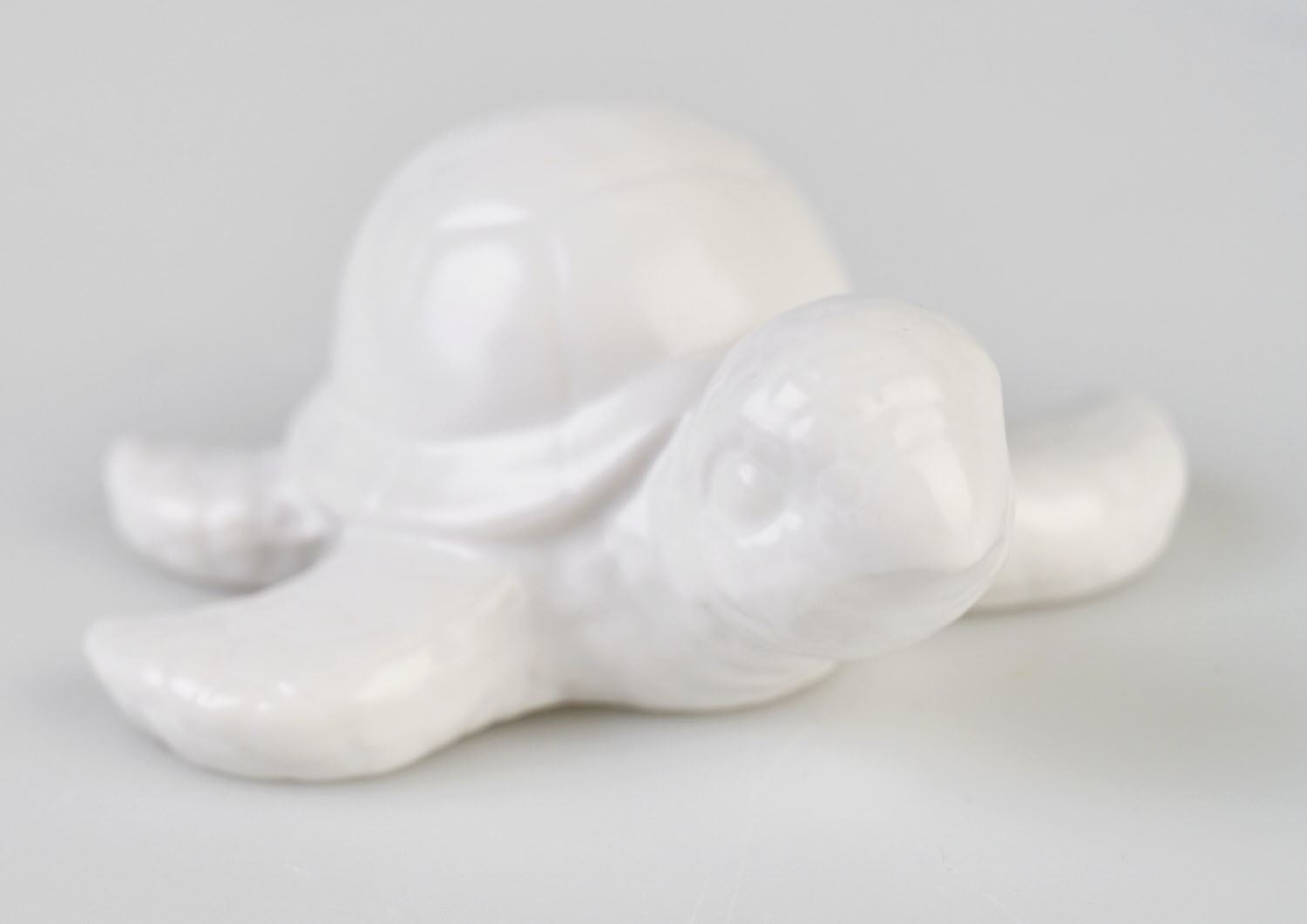 Koriste valkoinen - 2