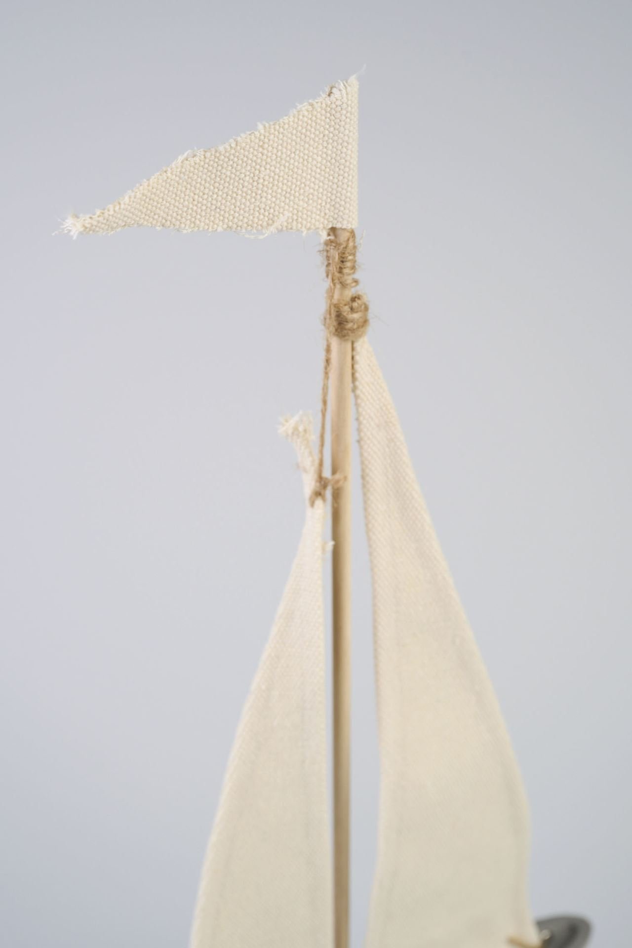 Koriste moniväri - 5