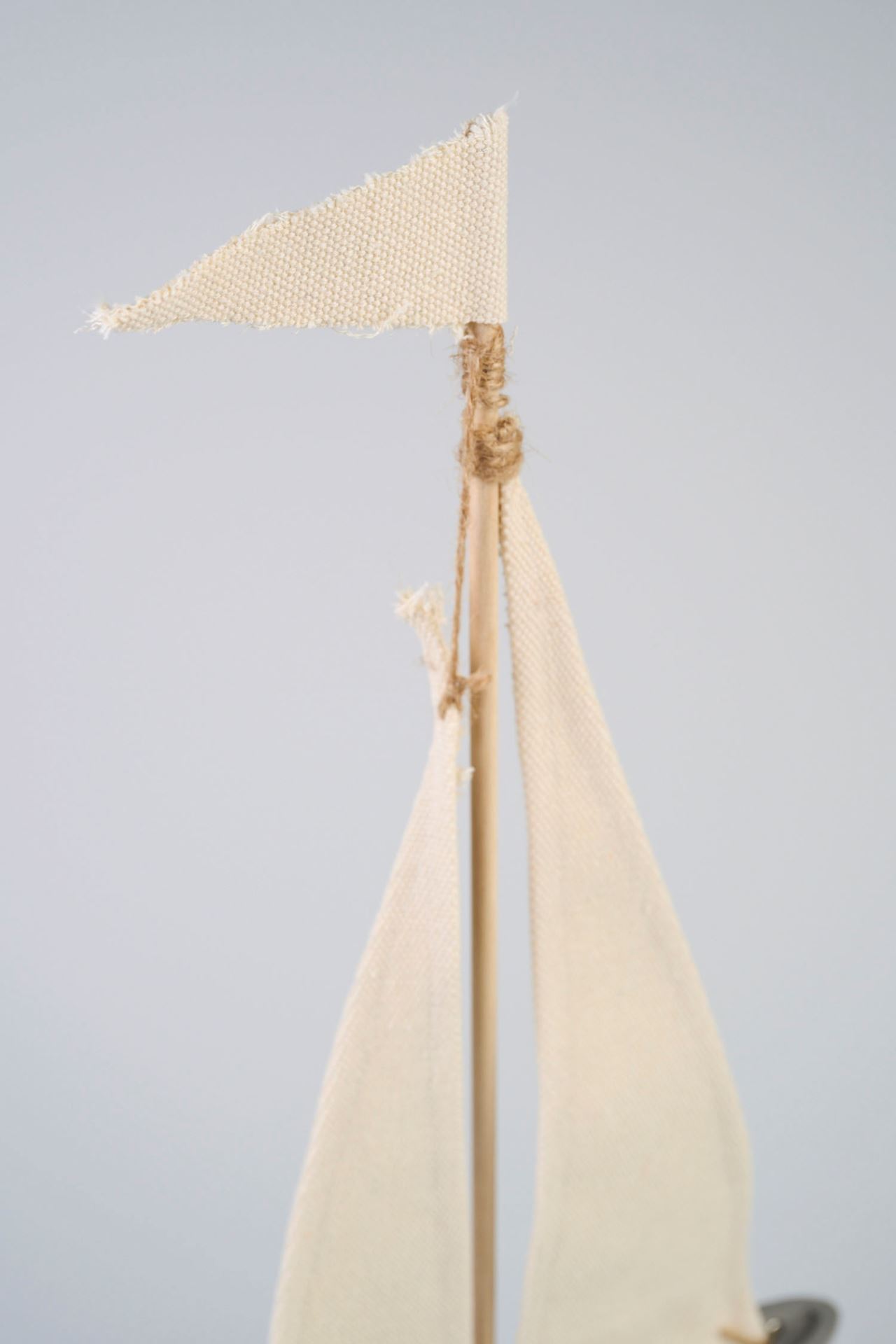 Koriste moniväri - 5