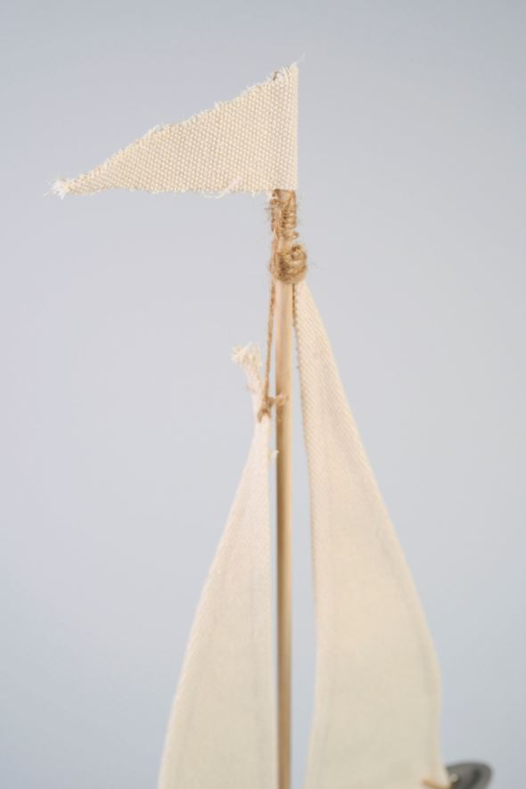 Koriste moniväri - 5