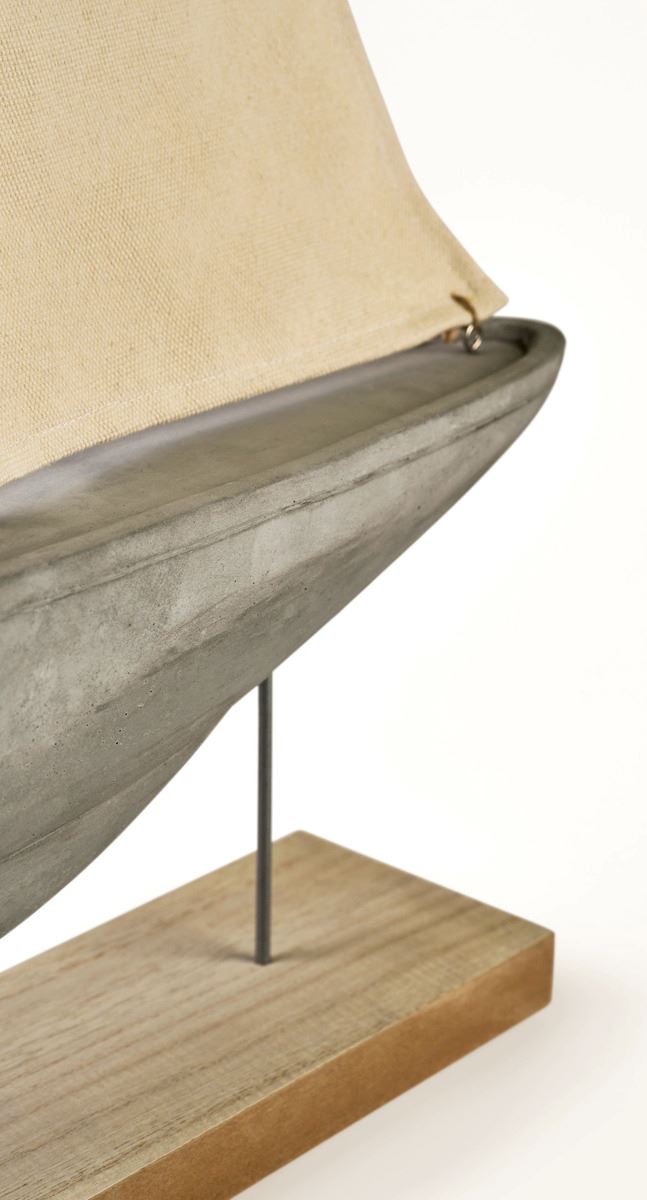 Koriste moniväri - 4