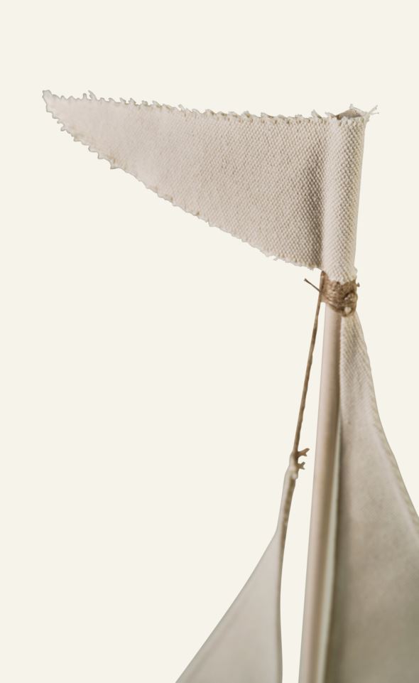 Koriste moniväri - 3