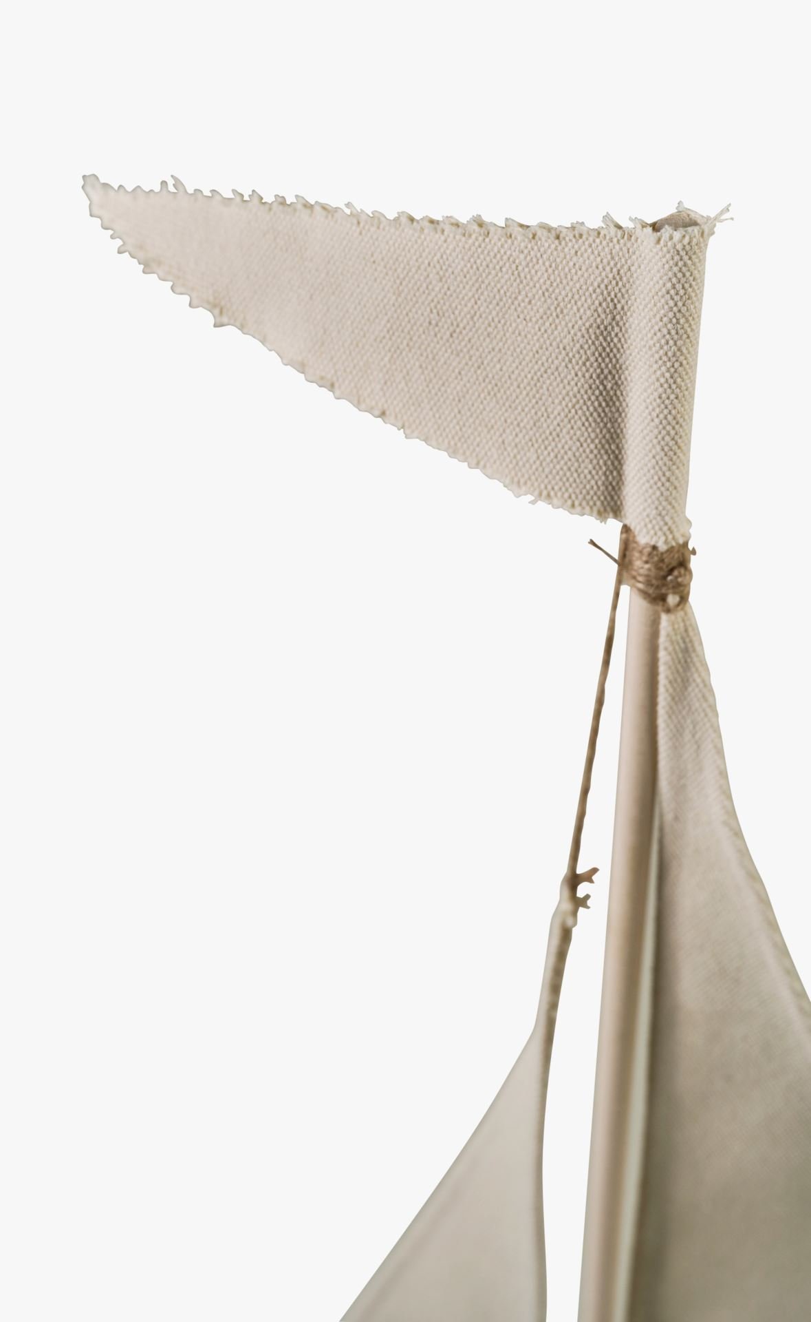 Koriste moniväri - 3