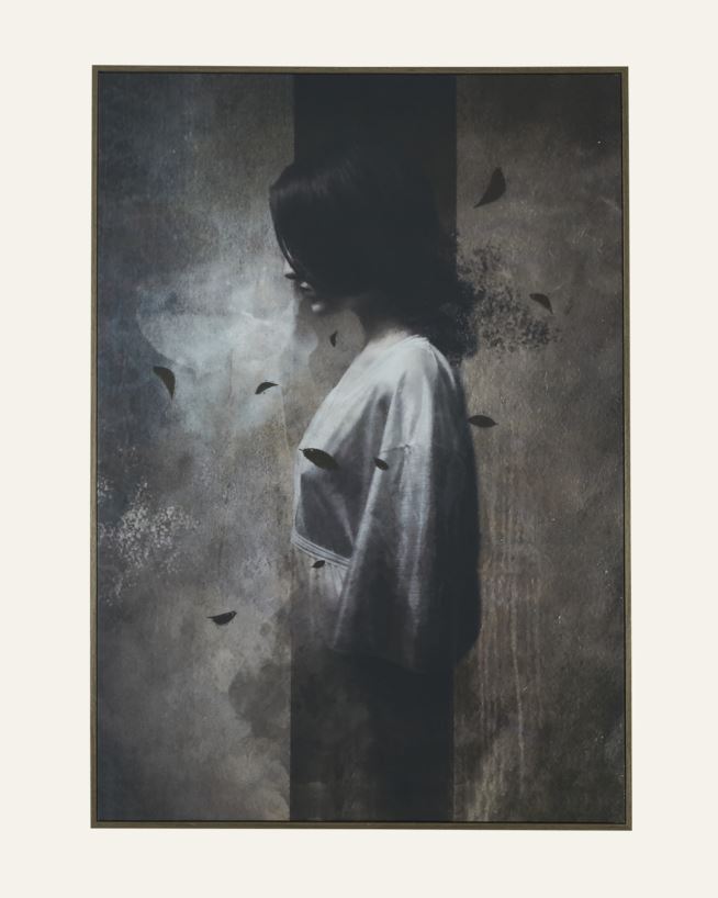 Taulu ruskea - 70x100 cm ruskea - 1