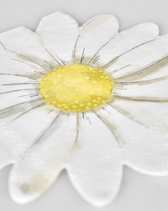 Paperiservetit moniväri/valkoinen - 3