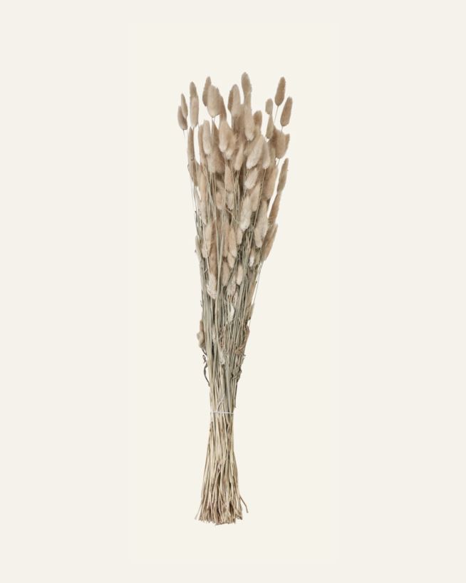 Kukkakimppu luonnonväri - 70 cm luonnonväri - 1