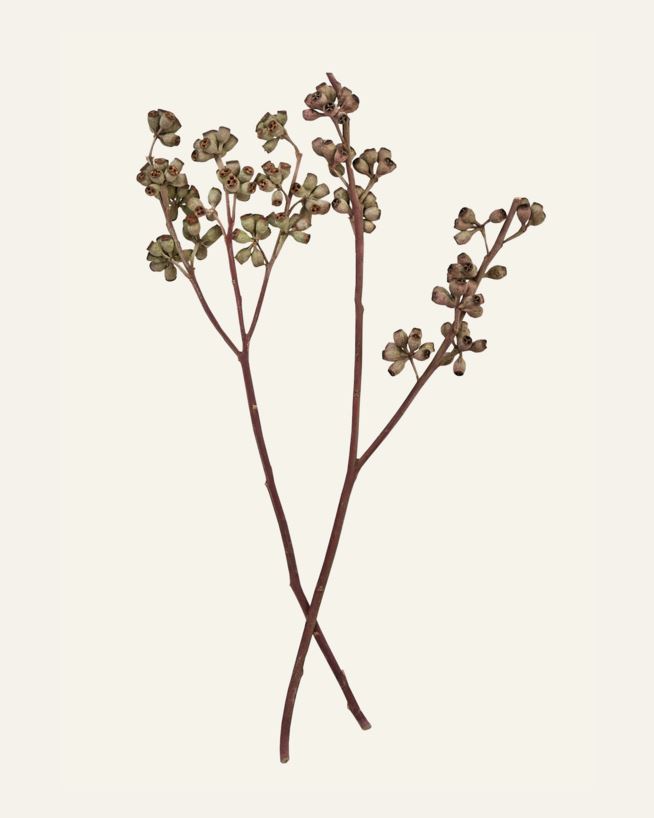 Kukkakimppu luonnonväri - 50 cm luonnonväri - 1