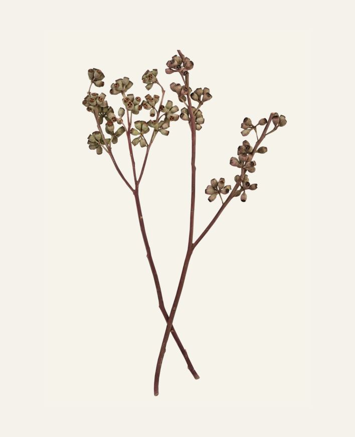 Kukkakimppu luonnonväri - 50 cm luonnonväri - 1