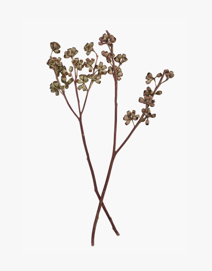 Kukkakimppu luonnonväri - 50 cm luonnonväri - 1