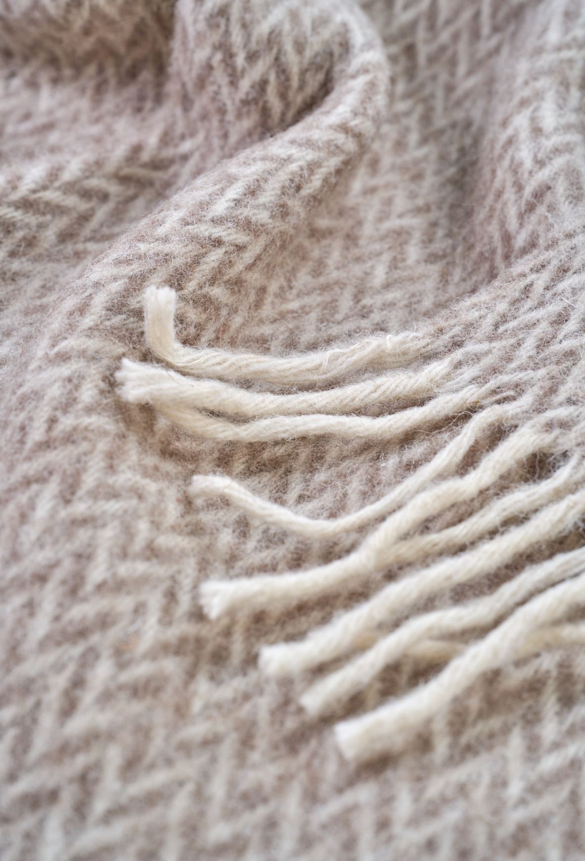 Villahuopa harmaanruskea - 2