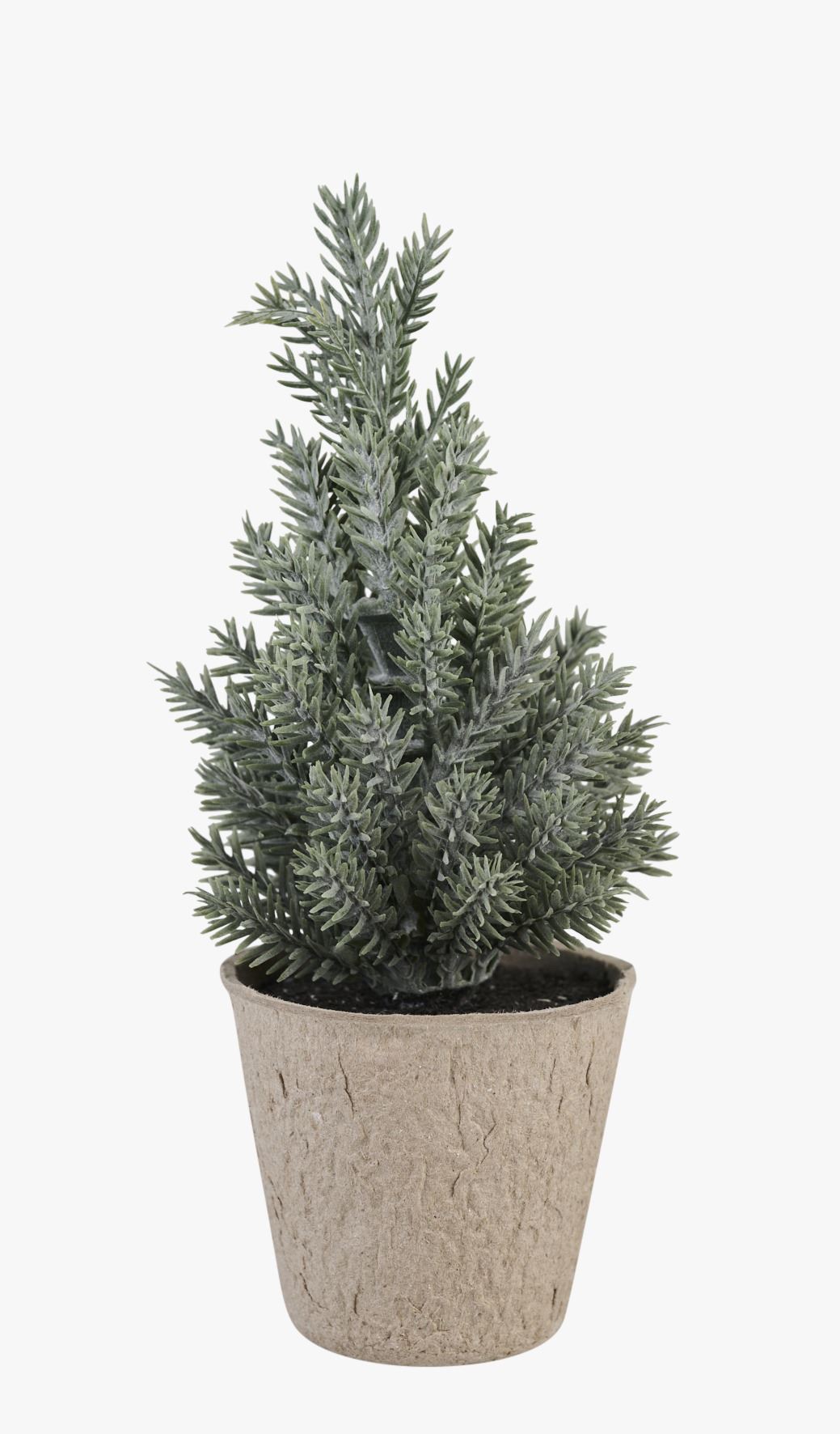 Joulukuusi meriheinää - 6,5x6,5x17 cm meriheinää - 1