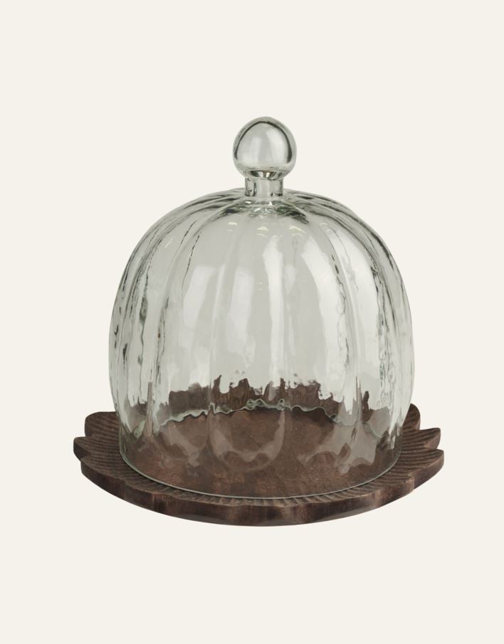 Kansi läpikuultava - 2