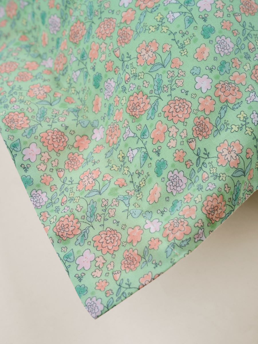 Tyynyliina koralli - 3