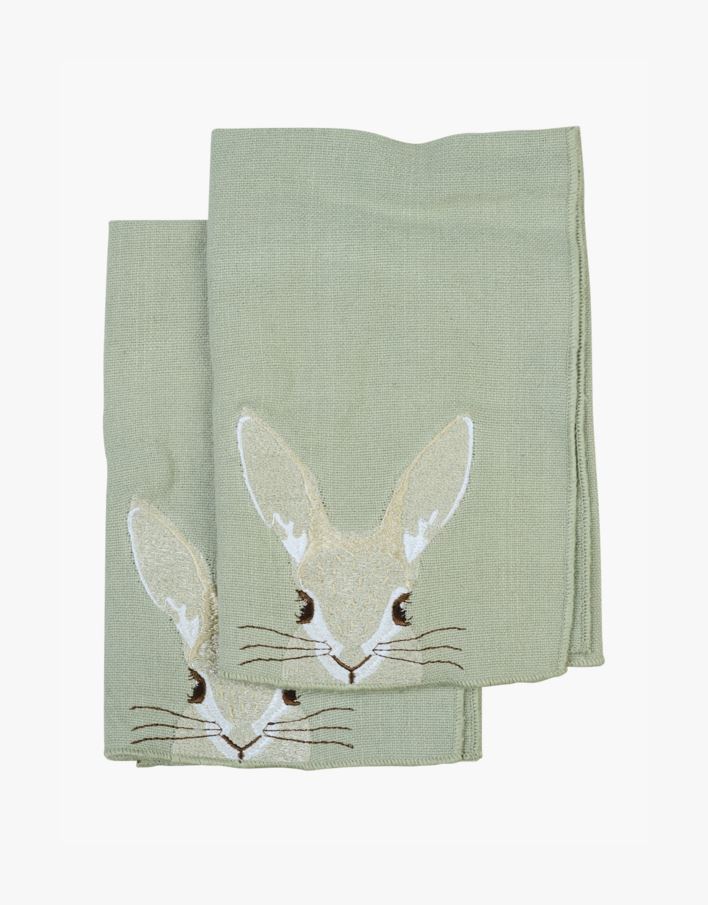 Kangaslautasliina, 2 kpl vaaleanvihreä - 45x45 cm vaaleanvihreä - 1