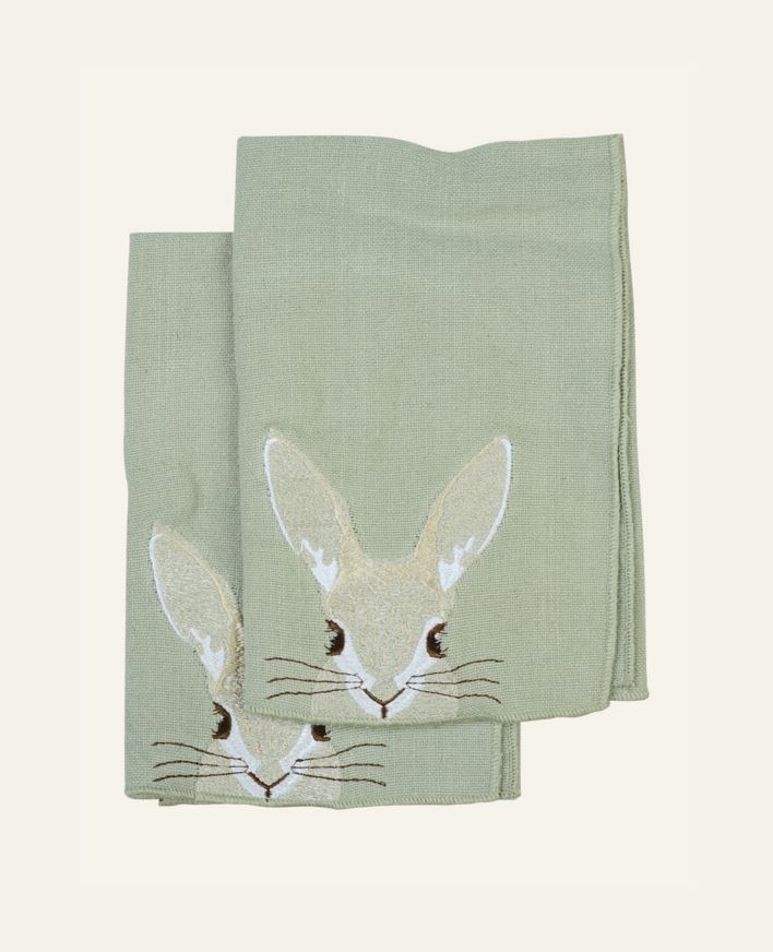 Kangaslautasliina, 2 kpl vaaleanvihreä - 45x45 cm vaaleanvihreä - 1