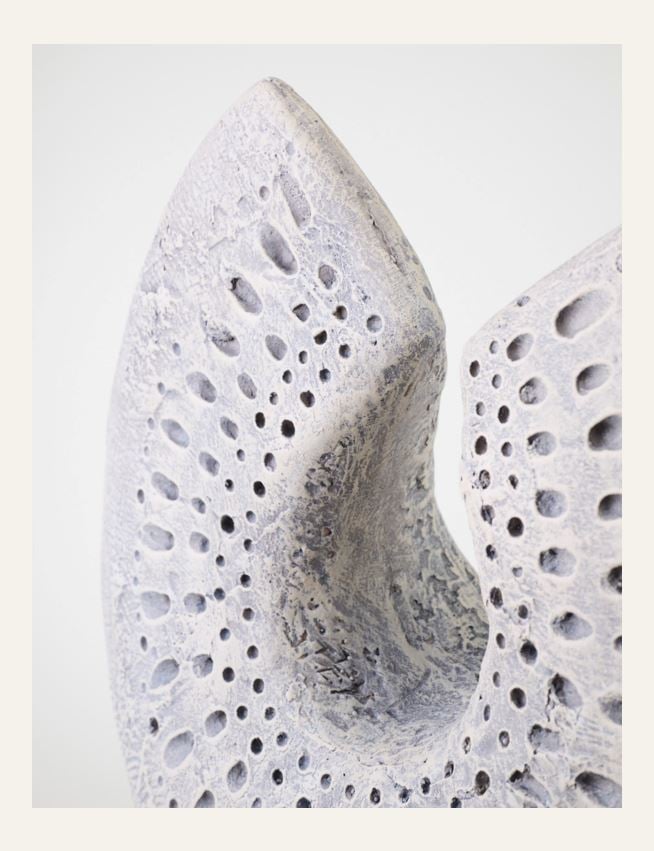 Koriste harmaanruskea - 2