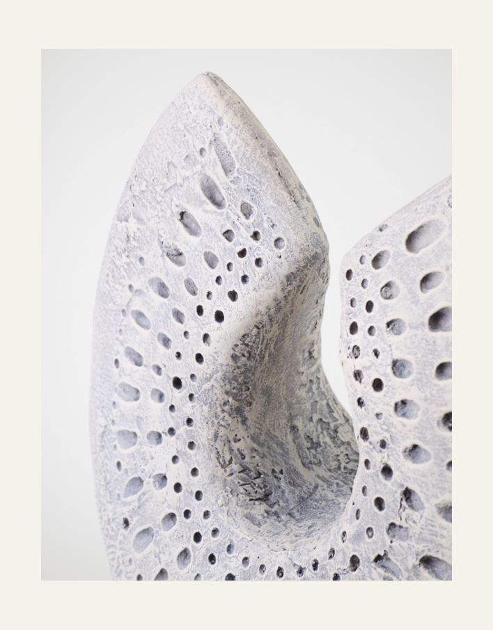 Koriste harmaanruskea - 2