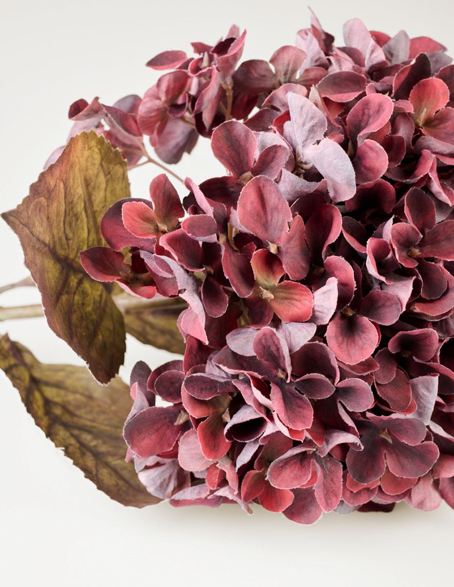 Kukka viininpunainen - 2