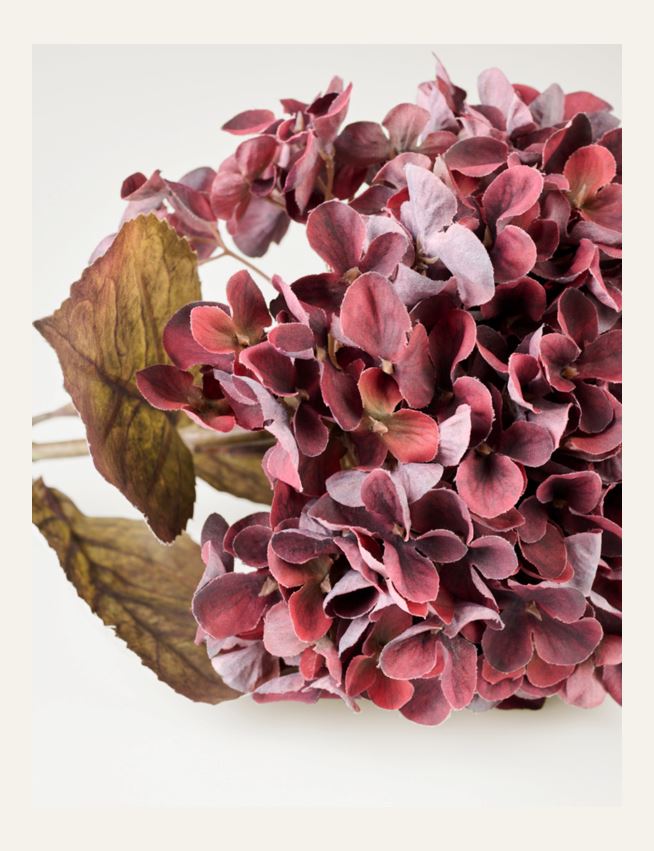 Kukka viininpunainen - 2