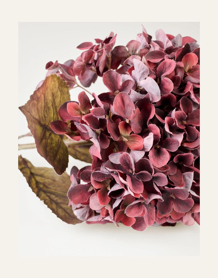 Kukka viininpunainen - 2