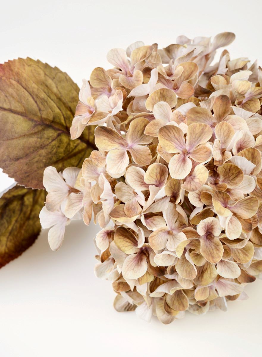 Kukka beige - 3