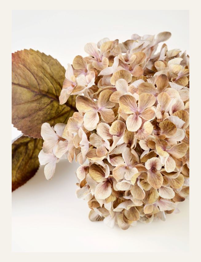 Kukka beige - 3