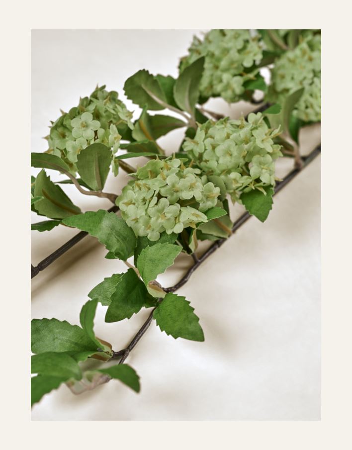 Kukka vaaleanvihreä - 2