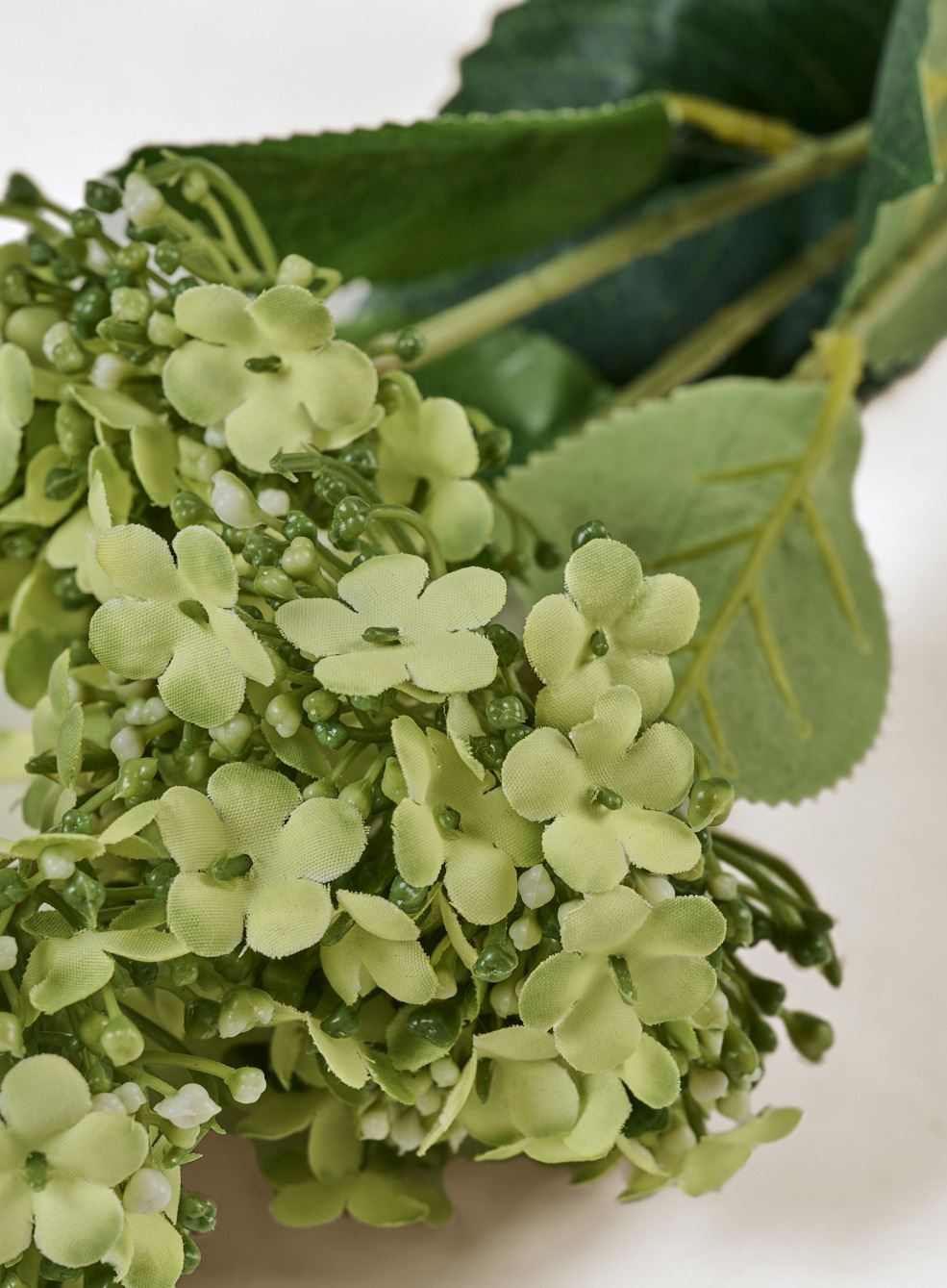 Kukka vaaleanvihreä - 2