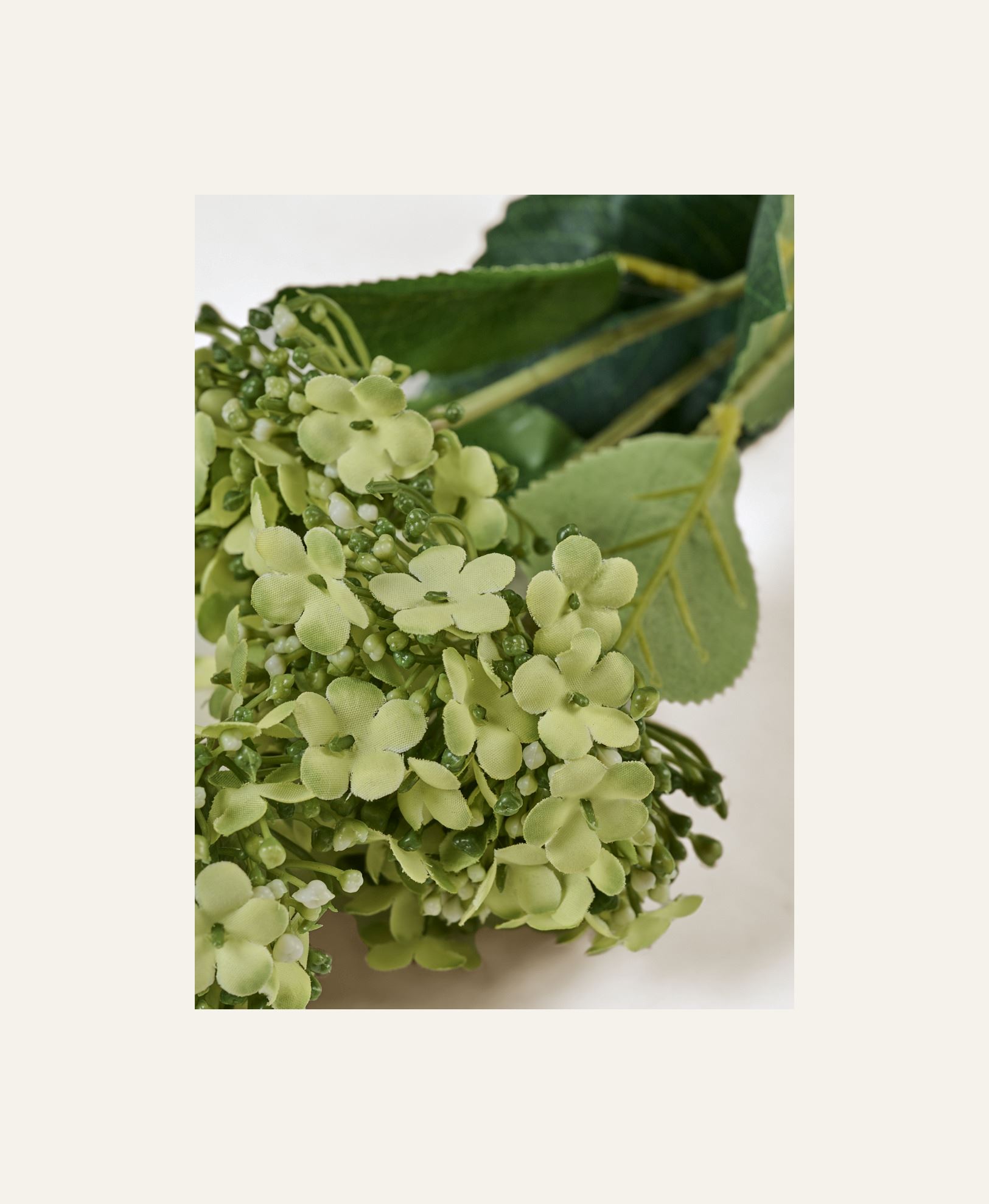 Kukka vaaleanvihreä - 2