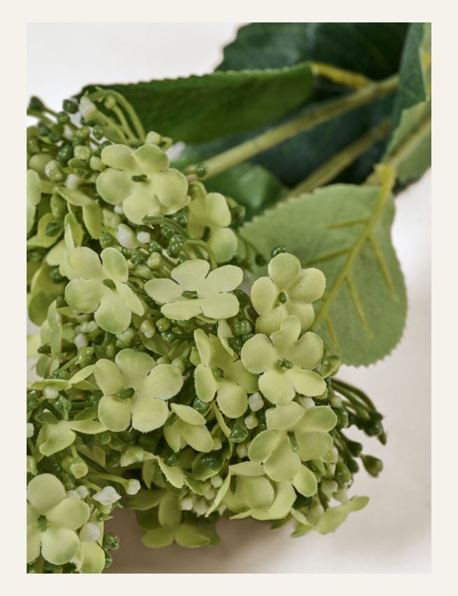 Kukka vaaleanvihreä - 2