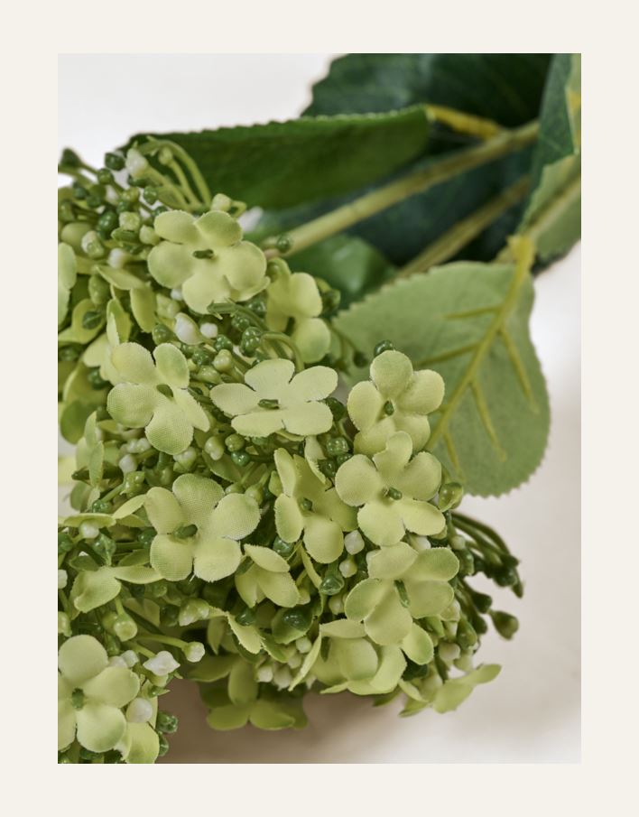 Kukka vaaleanvihreä - 2