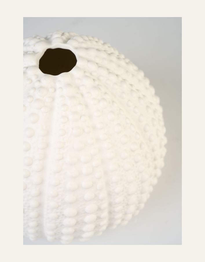 Maljakko valkoinen - 3