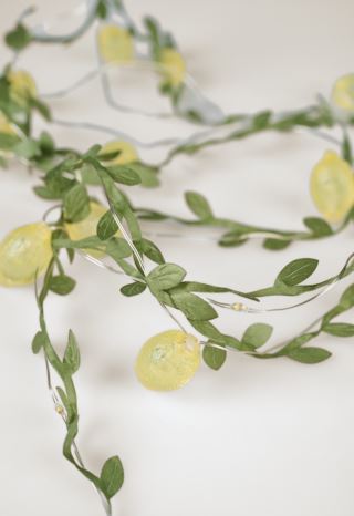 Lemon LED-valosarja moniväri/vihreä