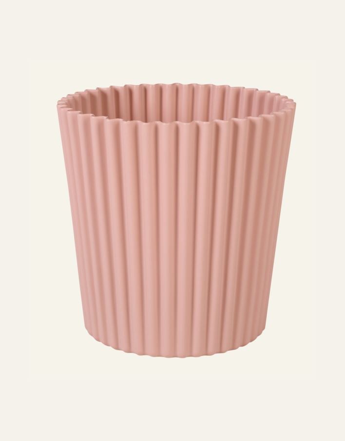 Ulkoruukku puuteriroosa - 3