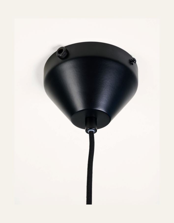 Kattovalaisin musta - 4