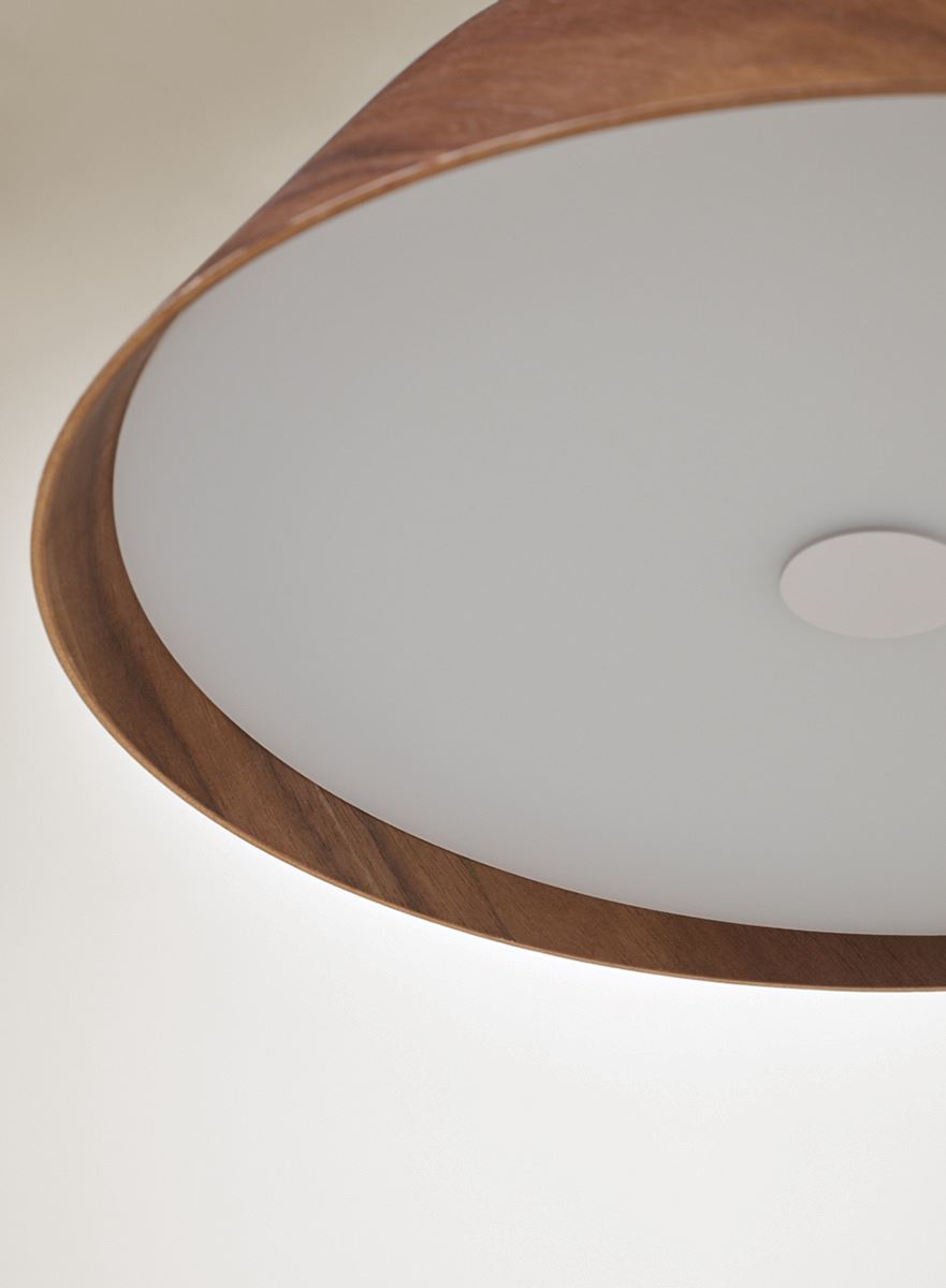 Kattovalaisin ruskea - 3