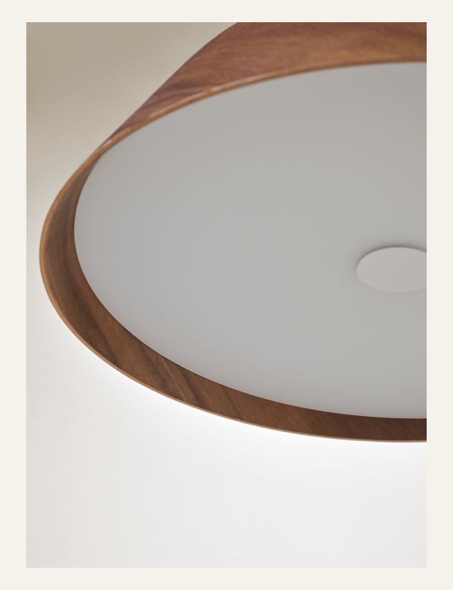 Kattovalaisin ruskea - 3