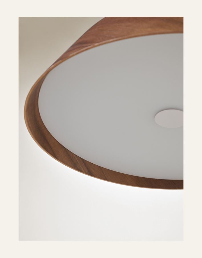 Kattovalaisin ruskea - 3